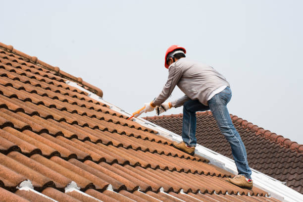 Best Roof Ventilation Installation  in Wellton, AZ